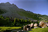 Val Malenco - Verso il Rifugio Bosio il torrente Torreggio scorre tra antichi massi erratici. 